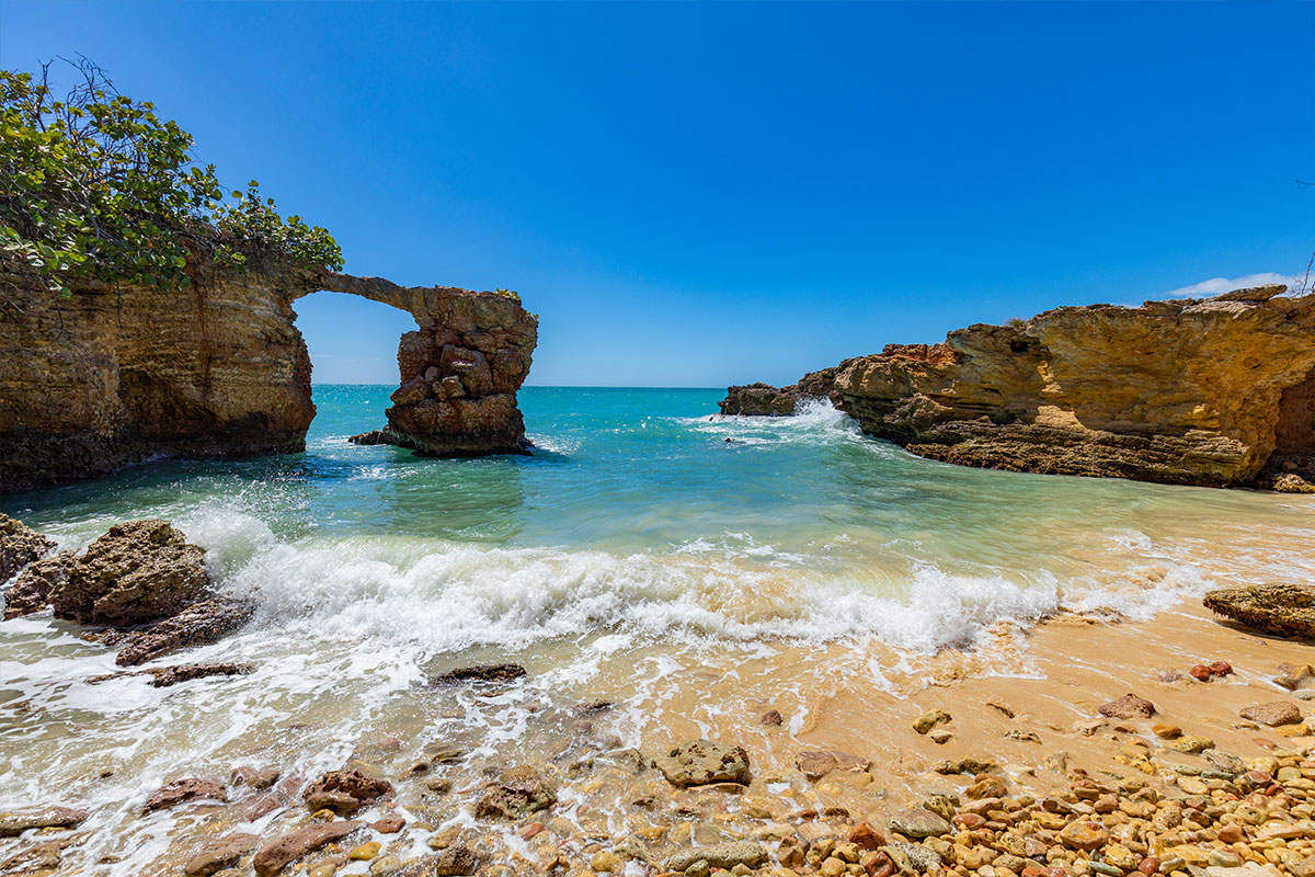 Southwest Coast & Bioluminescent Bay Tour in Puerto Rico Puerto Rico