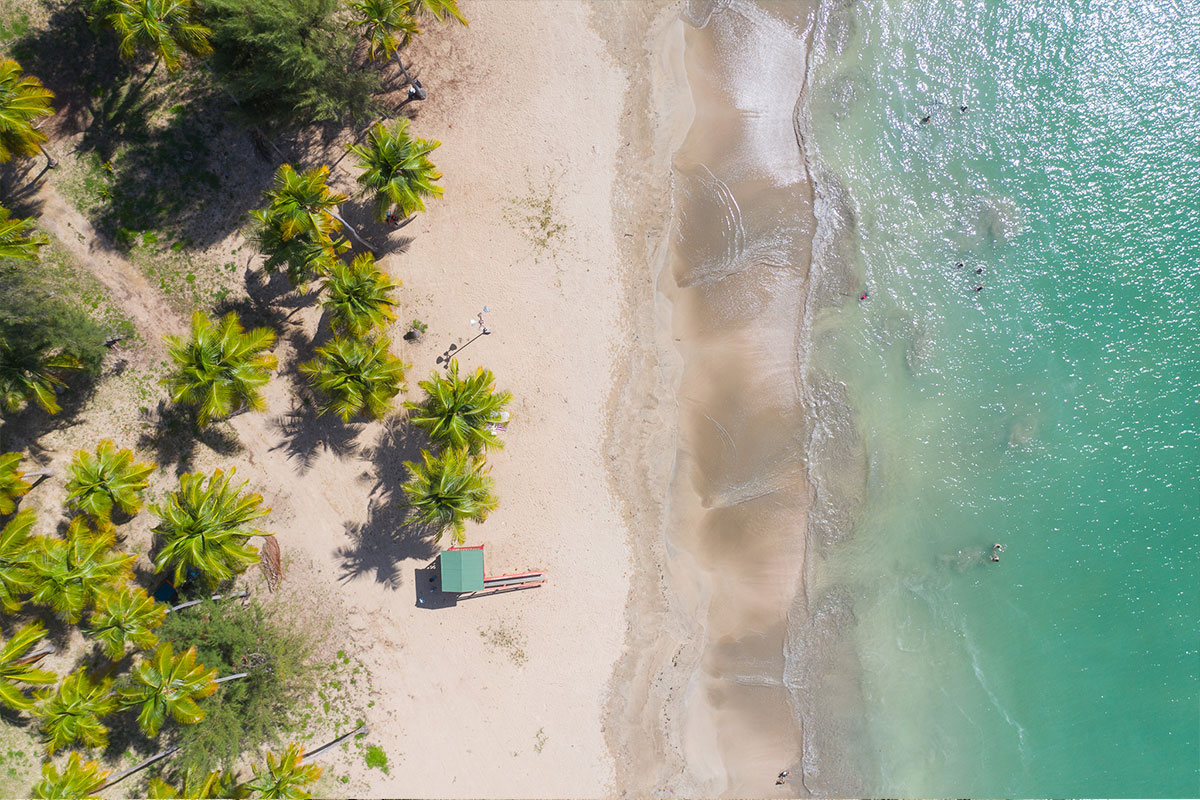 Rainforest Swimming and Beach Adventure in Puerto Rico - Puerto Rico as ...